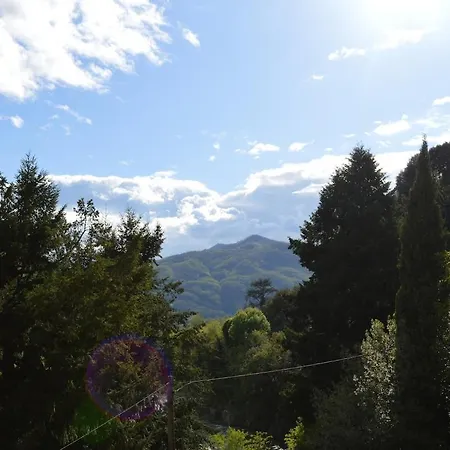 Bellavista *